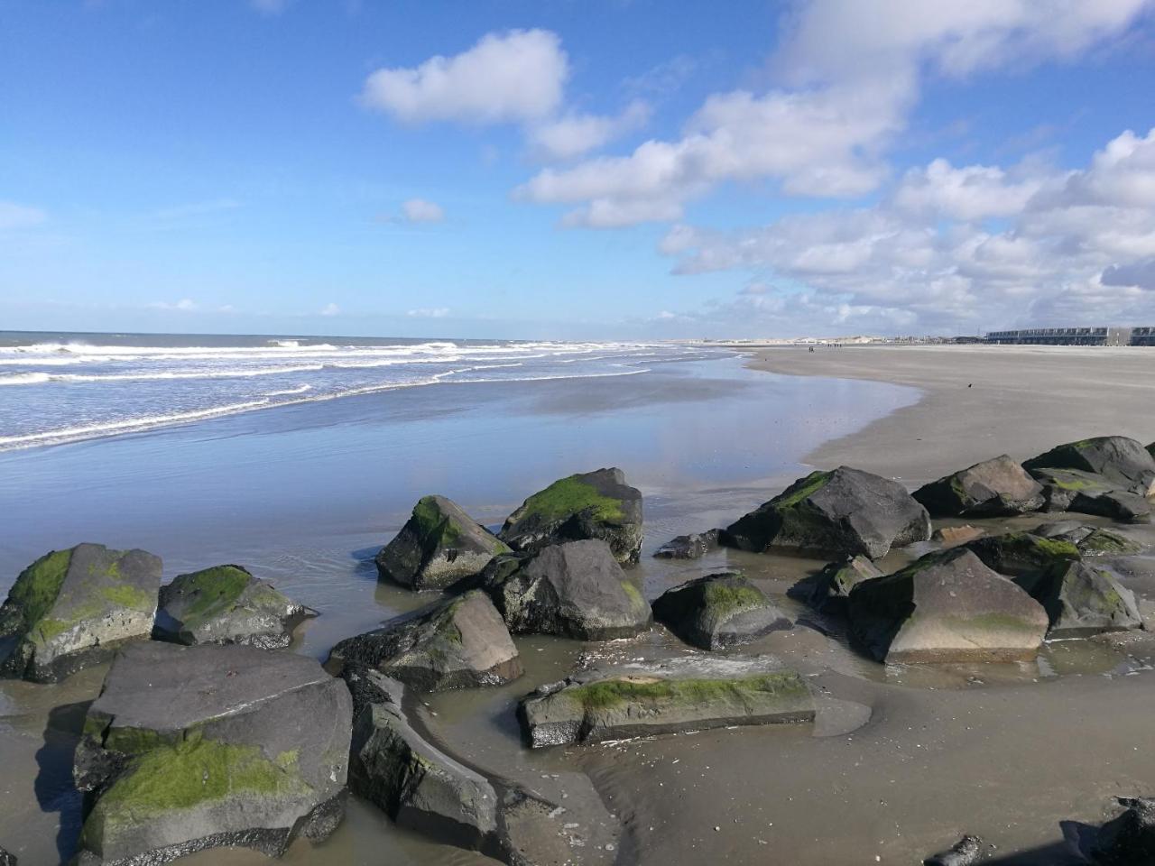Hotel Noordzee Hoek van Holland Exterior foto